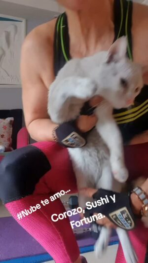 Luly Bossa Instagram - Amo estos chiquitos. Mis amores. Son un bálsamo del cielo. Gracias a todos. Gracias a Dios.