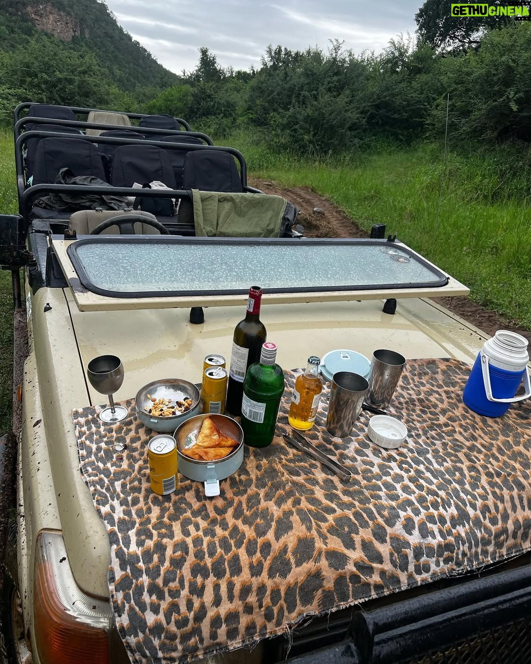 Lungelo Mpangase - 49.3K Likes - 🦒Safari Bae • 🍃