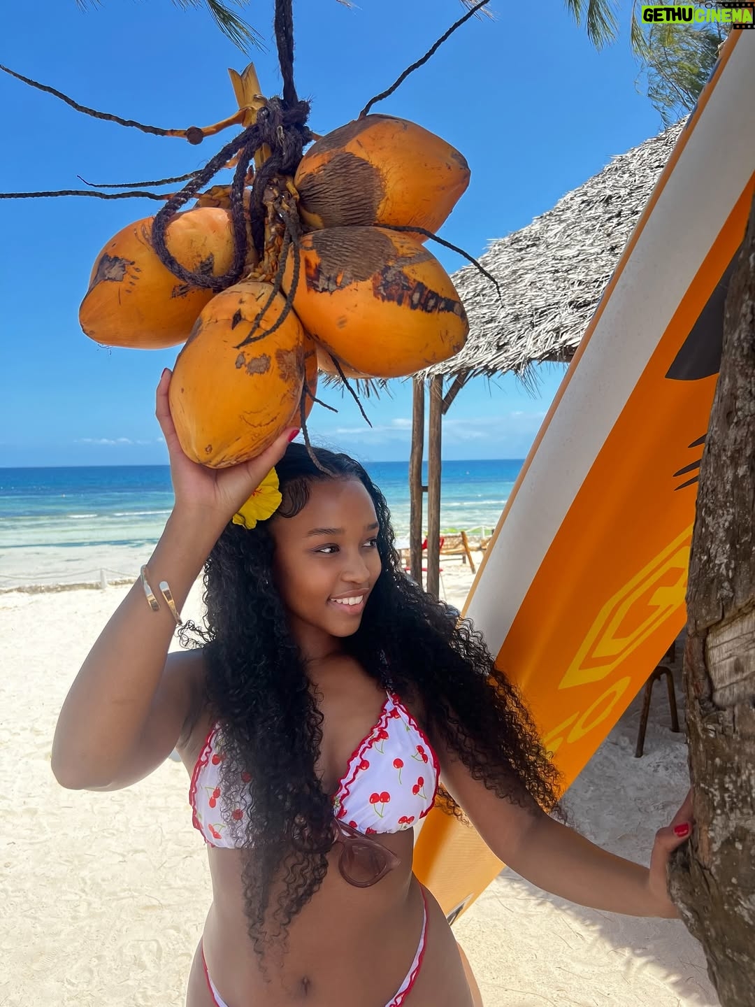 Lungelo Mpangase - 57.1K Likes - 🏝️Postcard from KIZIMKAZI 🥥
(I couldn’t even get one good picture with the tortoises 🐢😅bengitatazela) #tanzania #ocean #travel