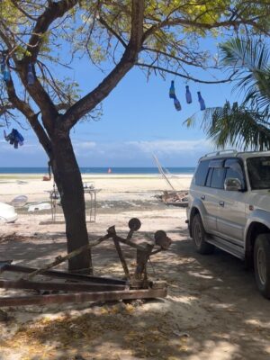 Lungelo Mpangase Instagram - 🏝️Postcard from KIZIMKAZI 🥥
(I couldn’t even get one good picture with the tortoises 🐢😅bengitatazela) #tanzania #ocean #travel