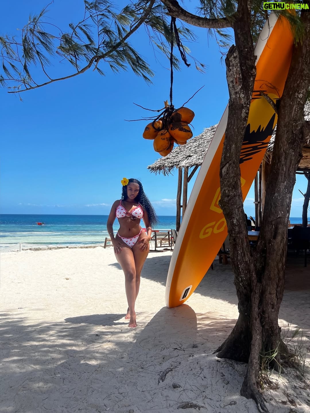 Lungelo Mpangase - 57.1K Likes - 🏝️Postcard from KIZIMKAZI 🥥
(I couldn’t even get one good picture with the tortoises 🐢😅bengitatazela) #tanzania #ocean #travel