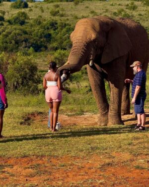 Lungelo Mpangase Instagram - Spent some time in the wild with my friend Presh, had a great time 😊