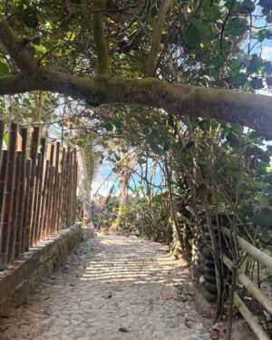 Mabel Moreno Instagram - @casaorigenlosnaranjos AquĆ no vengo a escapar de la vida, vengo a encontrarme con ella. soy mĆ”s yo, en la selva y en el mar, conectando con mi mujer indomable⦠no necesito domar la naturaleza, porque en su libertad reconozco la mĆa.