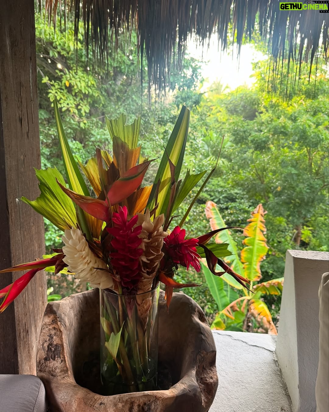 Mabel Moreno - 23.9K Likes - @casaorigenlosnaranjos Aquí no vengo a escapar de la vida, vengo a encontrarme con ella.  soy más yo, en la selva y en el mar, conectando con mi mujer indomable…  no  necesito domar la naturaleza, porque en su libertad reconozco la mía.