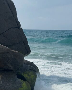 Mabel Moreno Instagram - @casaorigenlosnaranjos AquĆ no vengo a escapar de la vida, vengo a encontrarme con ella. soy mĆ”s yo, en la selva y en el mar, conectando con mi mujer indomable⦠no necesito domar la naturaleza, porque en su libertad reconozco la mĆa.