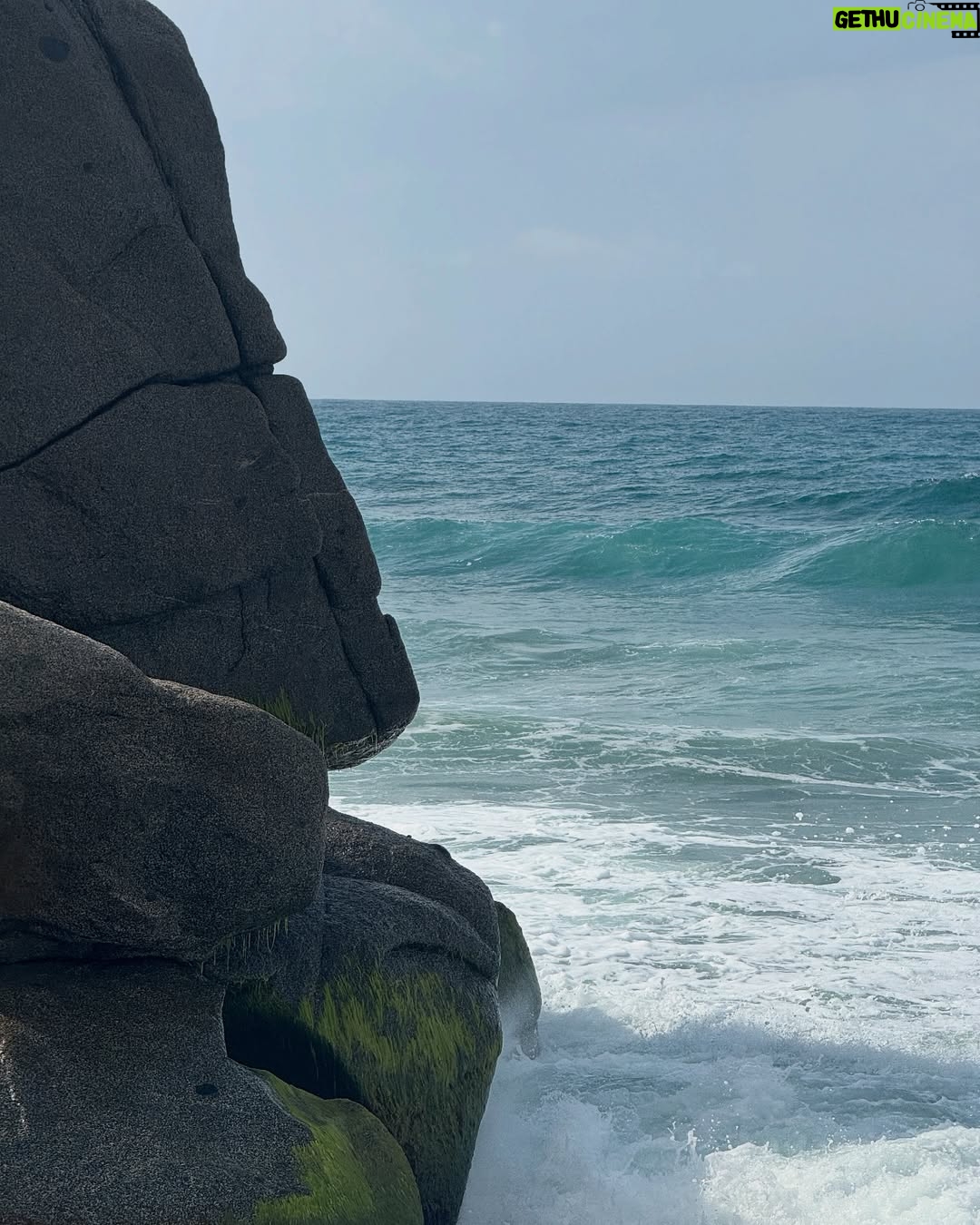 Mabel Moreno - 23.9K Likes - @casaorigenlosnaranjos Aquí no vengo a escapar de la vida, vengo a encontrarme con ella.  soy más yo, en la selva y en el mar, conectando con mi mujer indomable…  no  necesito domar la naturaleza, porque en su libertad reconozco la mía.