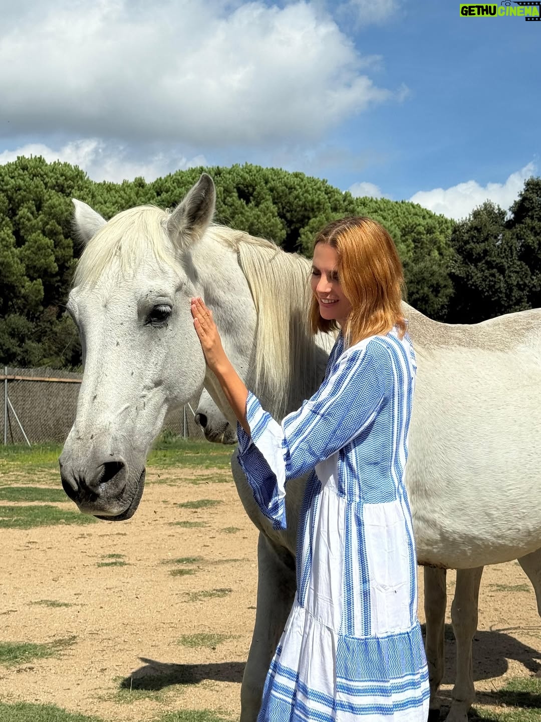 Macarena Gómez - 1.6K Likes - Con mis niñas bonitas 🐎♥️

#nature #horses #horsesofinstagram #nature #mygirl #inlove #vidabonita #unconditionallove