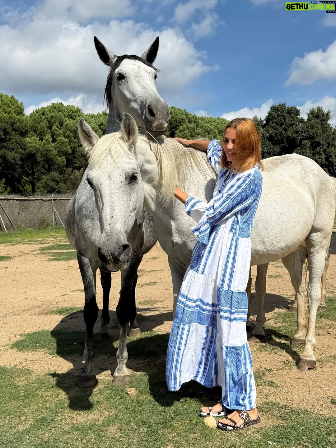 Macarena Gómez - 1.6K Likes - Con mis niñas bonitas 🐎♥️

#nature #horses #horsesofinstagram #nature #mygirl #inlove #vidabonita #unconditionallove