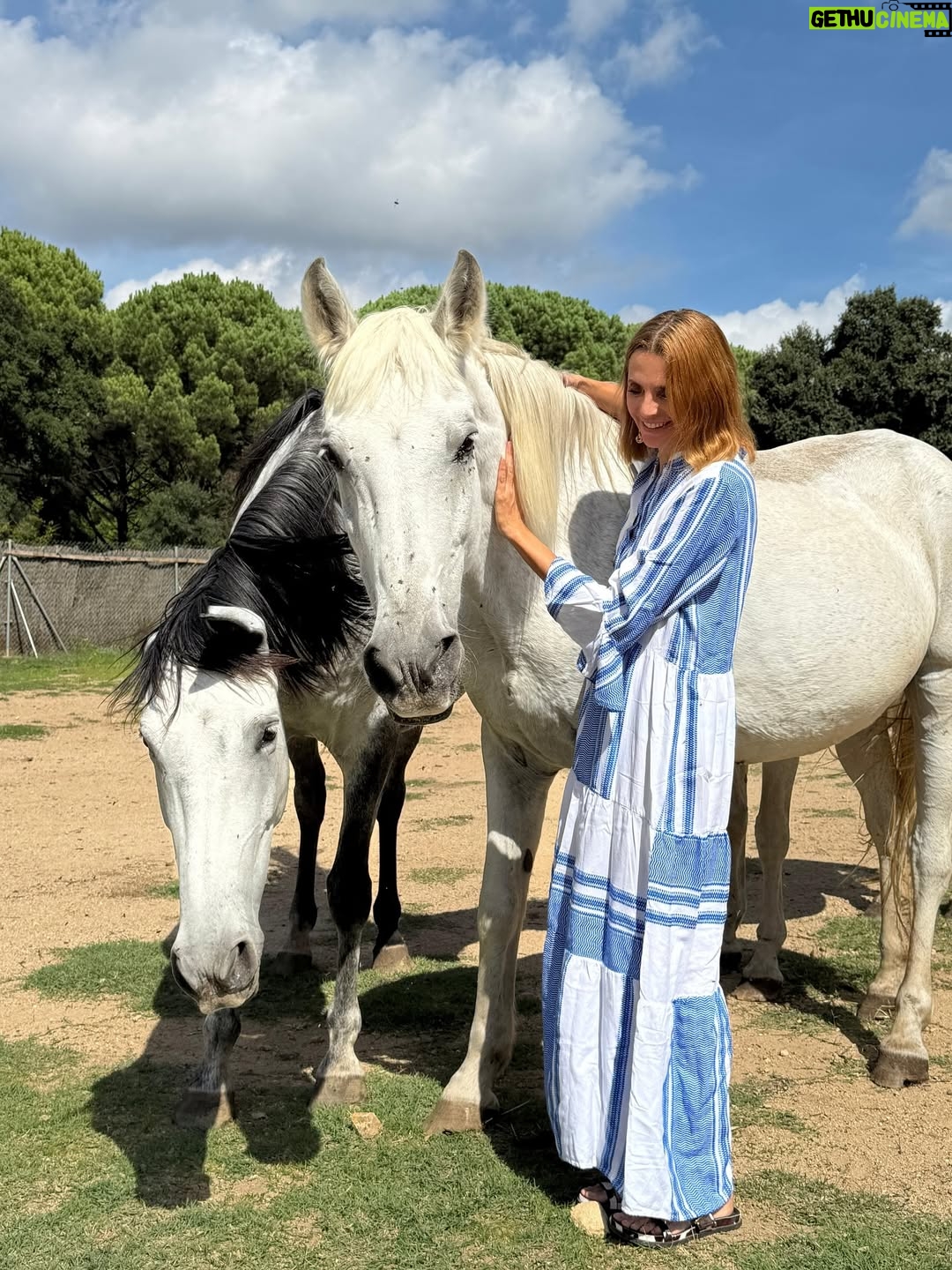 Macarena Gómez - 1.6K Likes - Con mis niñas bonitas 🐎♥️

#nature #horses #horsesofinstagram #nature #mygirl #inlove #vidabonita #unconditionallove