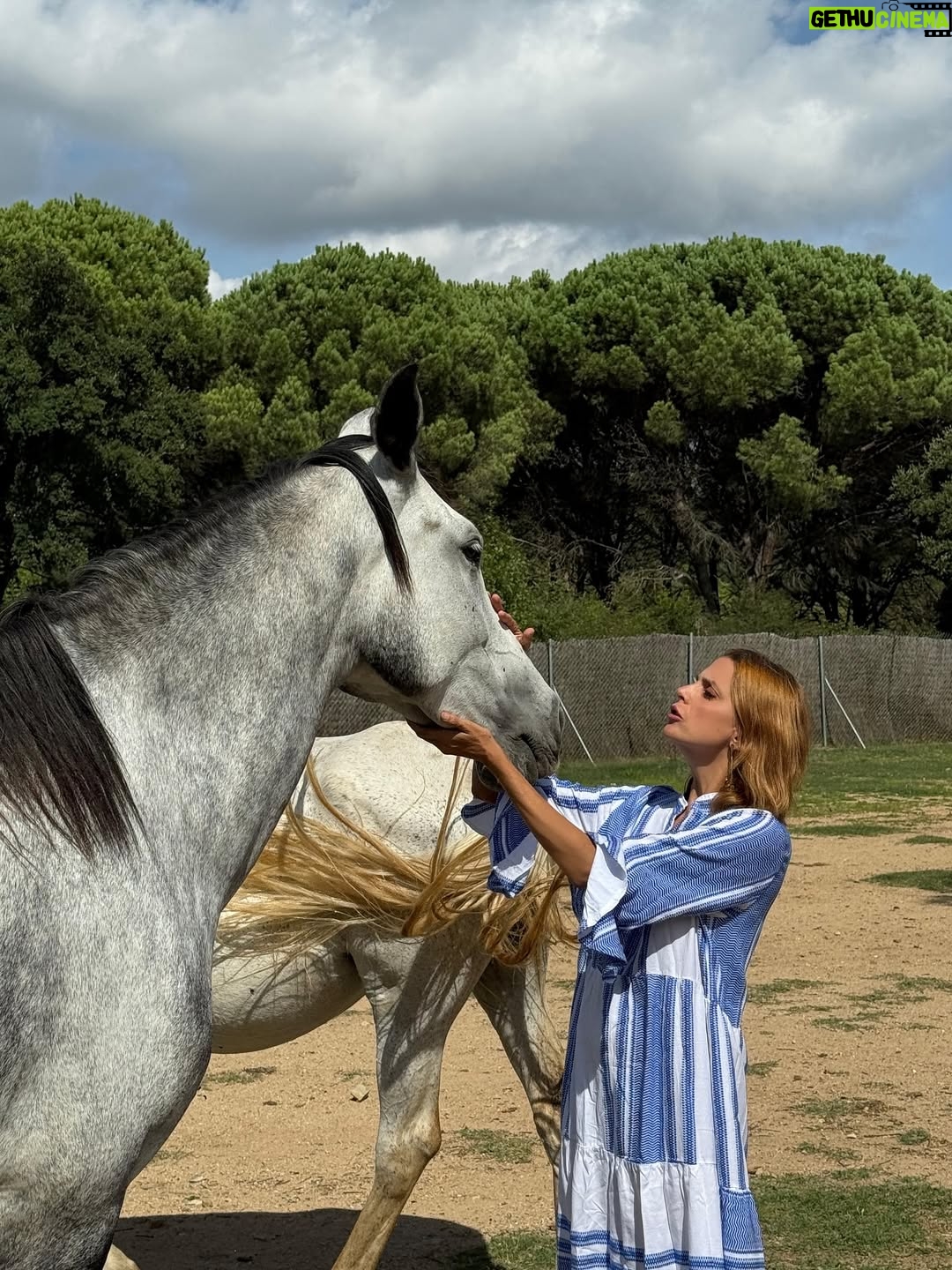 Macarena Gómez - 1.6K Likes - Con mis niñas bonitas 🐎♥️

#nature #horses #horsesofinstagram #nature #mygirl #inlove #vidabonita #unconditionallove