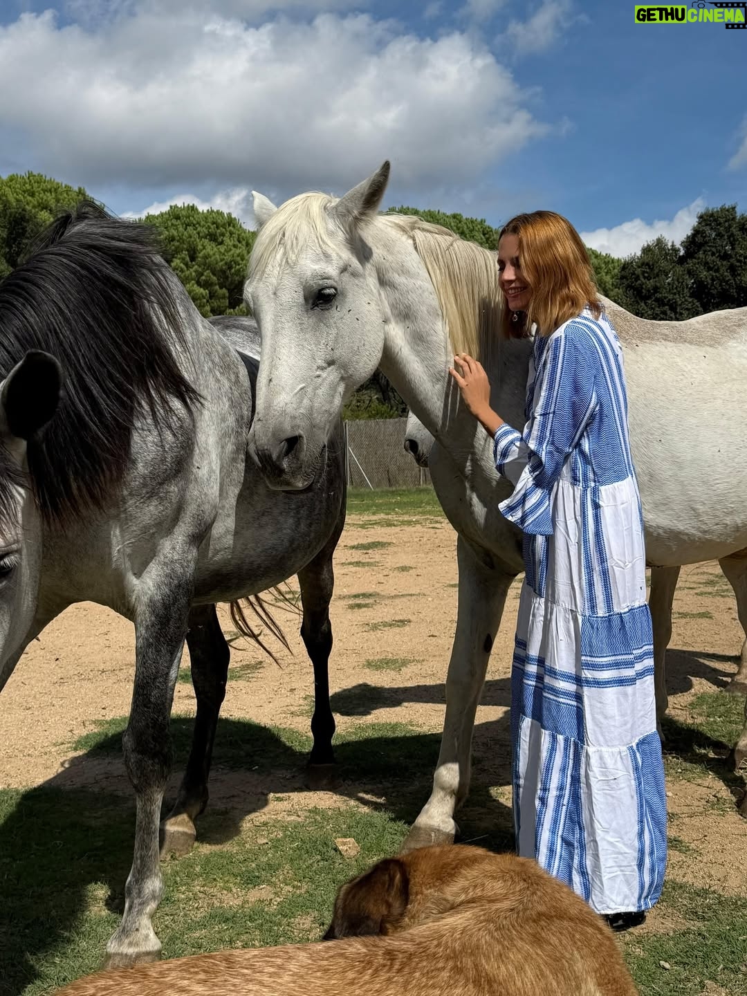 Macarena Gómez - 1.6K Likes - Con mis niñas bonitas 🐎♥️

#nature #horses #horsesofinstagram #nature #mygirl #inlove #vidabonita #unconditionallove