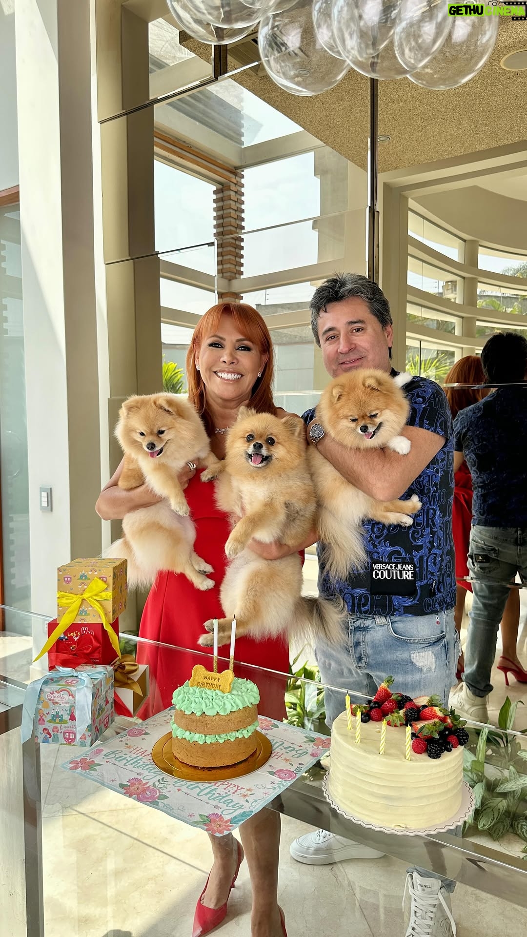 Magaly Medina - 39.1K Likes - Un día como hoy nacieron Paris ,Valentino y Tiffany. Si bien en un principio pensamos que los cachorros irían a hogares de amigos muy queridos, decidimos finalmente quedarnos con ellos. ¡Feliz cumpleaños a los tres! Ah, y mira a quién más celebramos hoy 👀