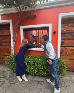 Magaly Medina Instagram - Algunas imágenes de mi fin de semana en Mamacona y Coayllo 🥰 #family #love #fds #familytime #magalymedina