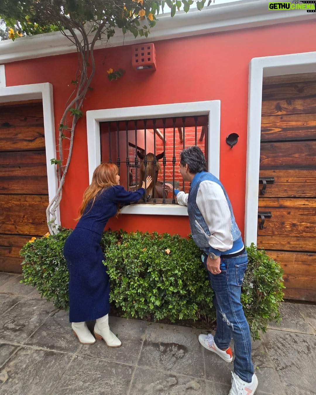 Magaly Medina - 42.3K Likes - Algunas imágenes de mi fin de semana en Mamacona y Coayllo 🥰 #family #love #fds #familytime #magalymedina