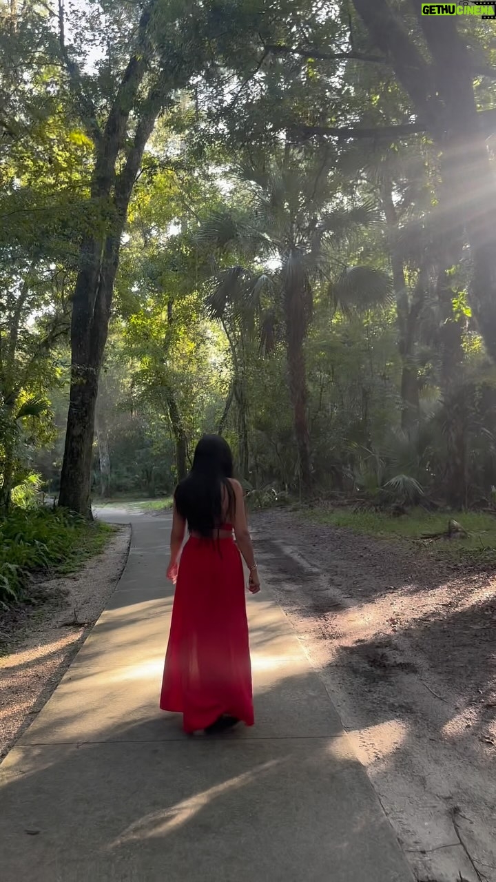 Mai El-Kady - 22.6K Likes - Nature 🌴🌱🌿