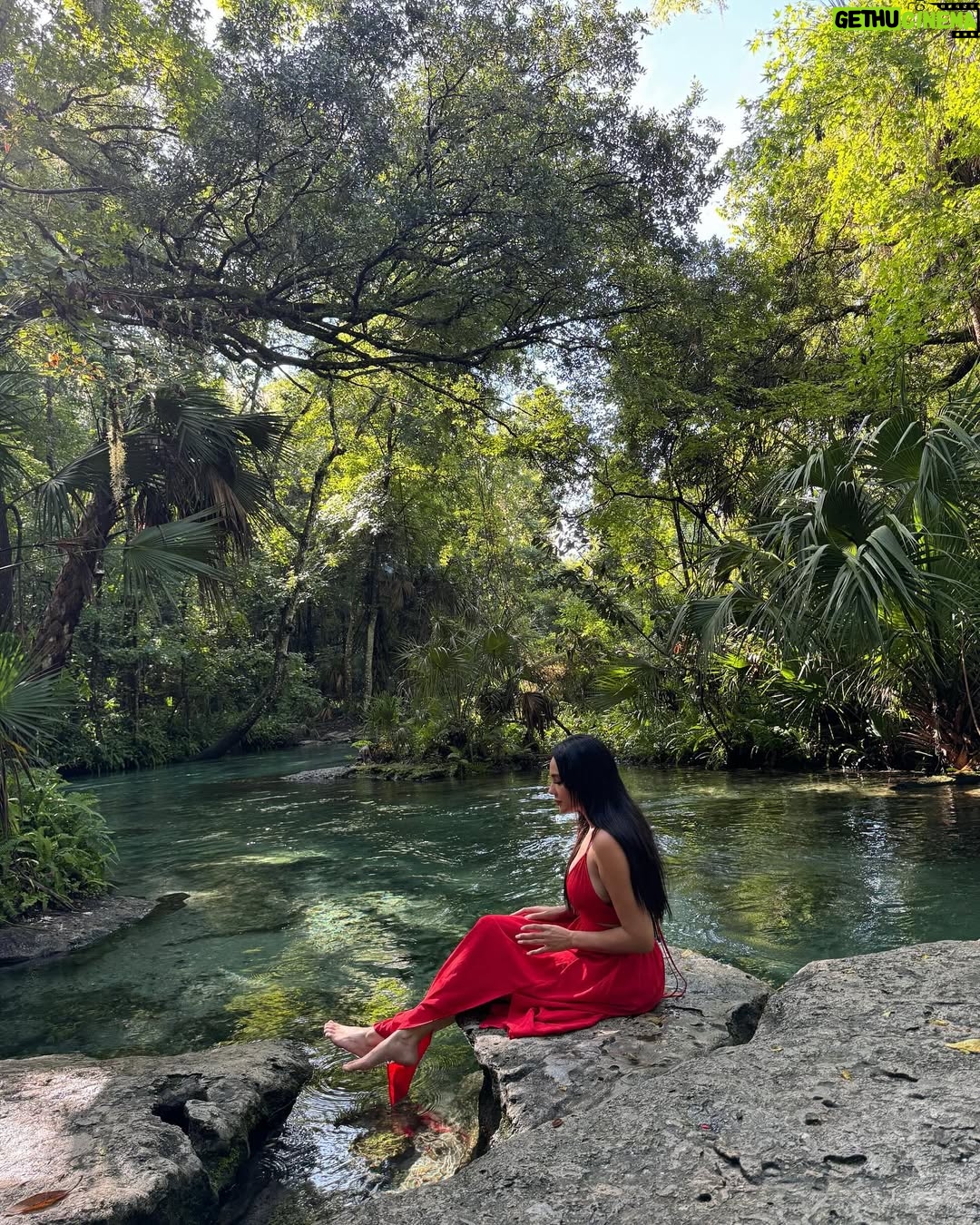 Mai El-Kady - 87.7K Likes - Null pflege 🌴