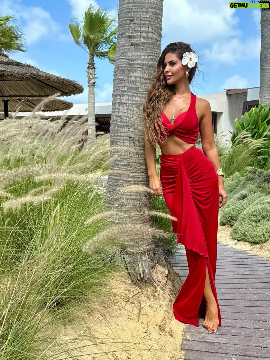 Mai Selim - 3 Likes - ❤️💄