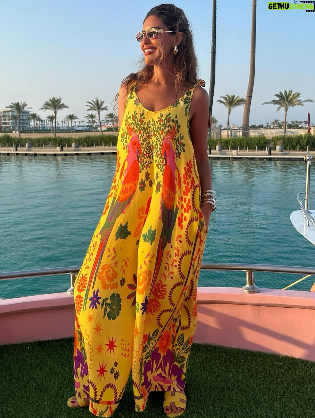 Mai Selim - 3 Likes - 💛