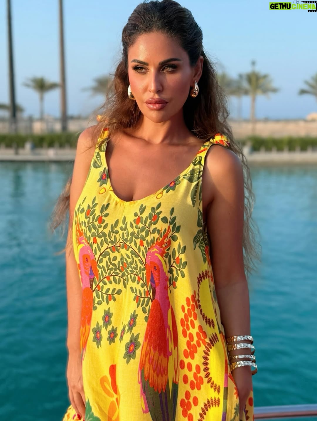 Mai Selim - 3 Likes - 💛