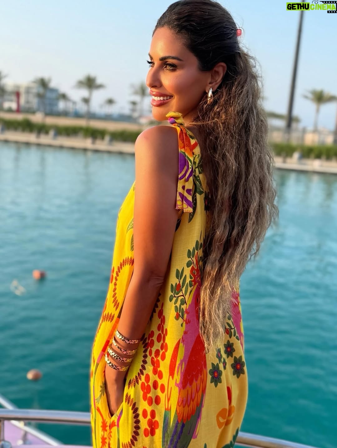 Mai Selim - 3 Likes - 💛