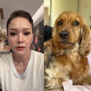 Maia Estianty Instagram - Baru kali ini gw collab ama si anjing…..
Mana giginya dia lebih putih pulak 😂😂😂
Pasti pake veneer dia
Jangan bilang idung si anjing lebih mancung ya…. 😂😂😂
#dameungrrr #maiaestianty #anjing #ngakak #iseng #tren #viral