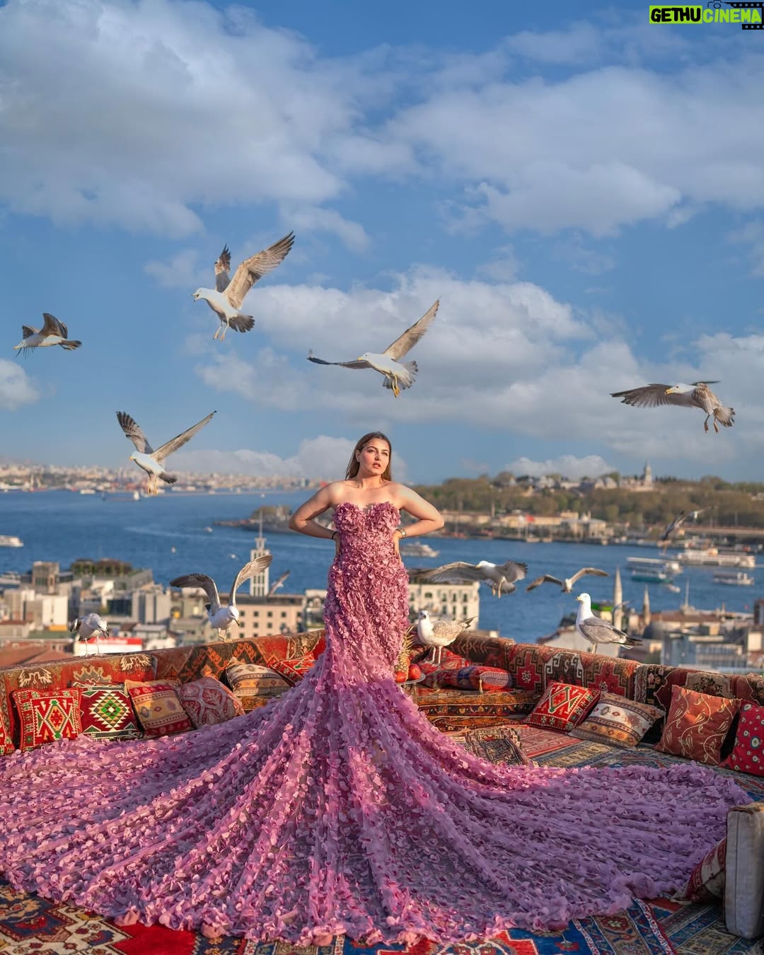 Malika Kaliraman - 146.4K Likes - Our fairytale 🧚‍♂️…..
📸 @simurg.photography
