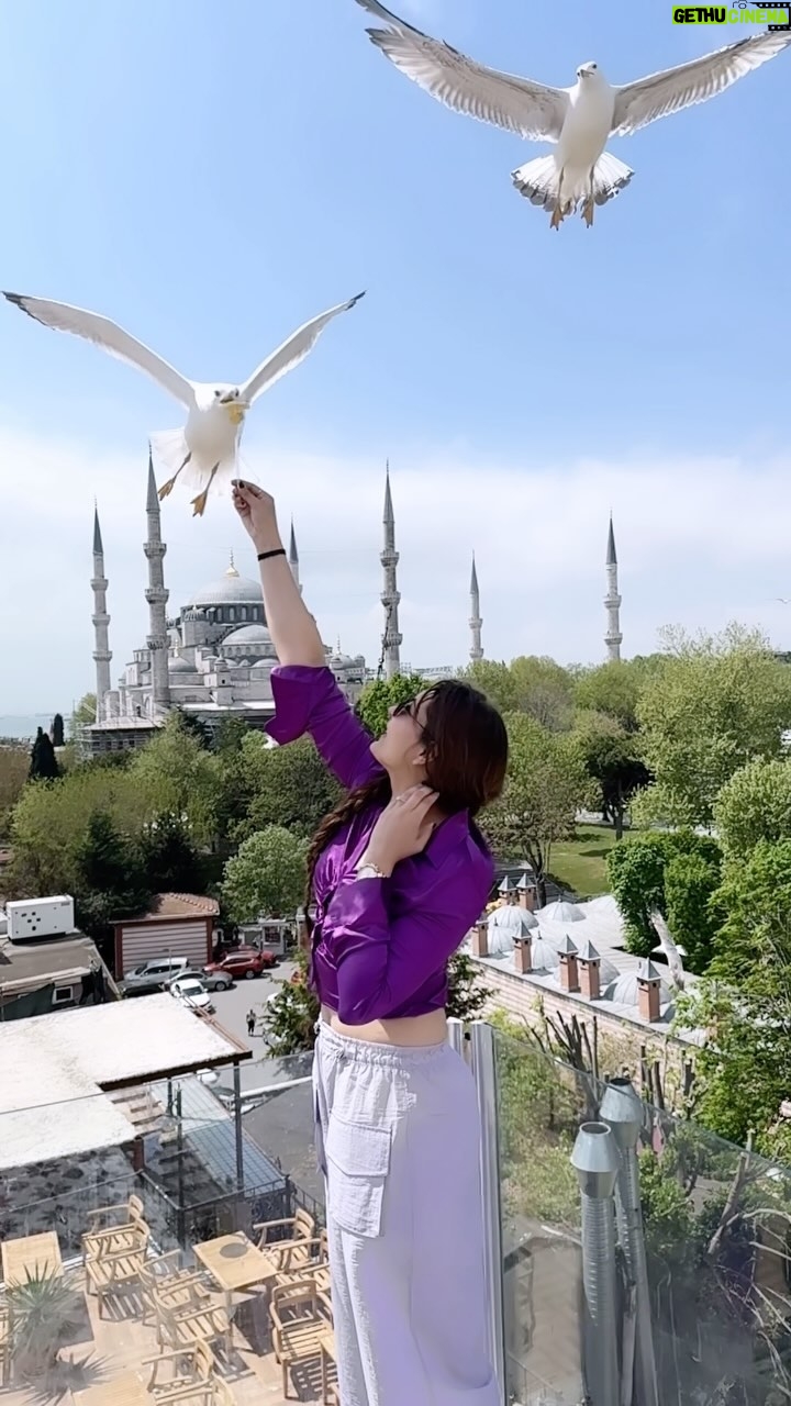 Malika Kaliraman - 488.8K Likes - Magical Istanbul 🇹🇷🕊️