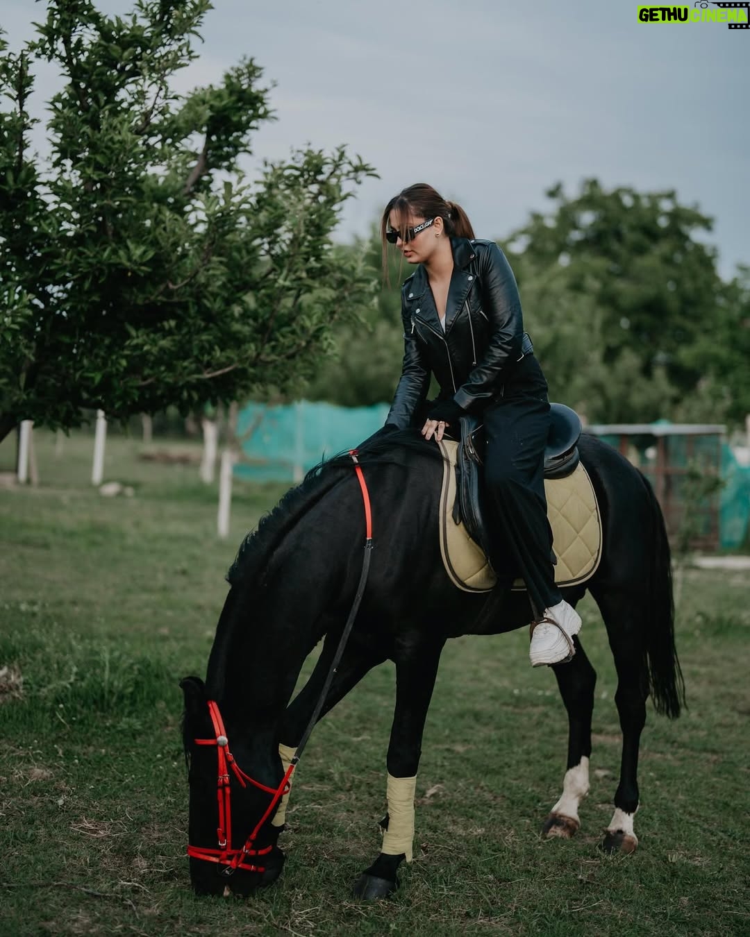 Malika Kaliraman - 81.7K Likes - Animal purest souls 🏇😍