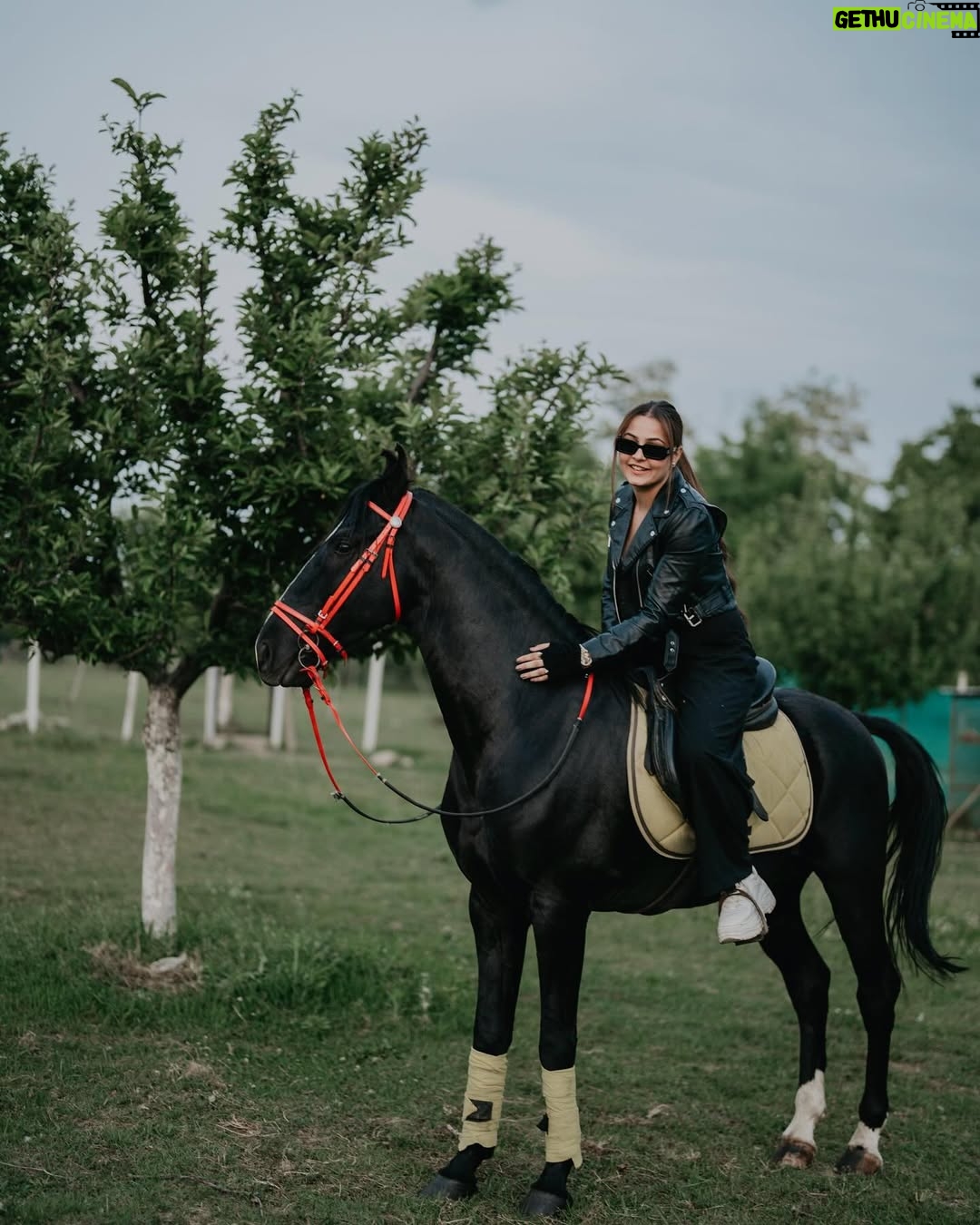 Malika Kaliraman - 81.7K Likes - Animal purest souls 🏇😍