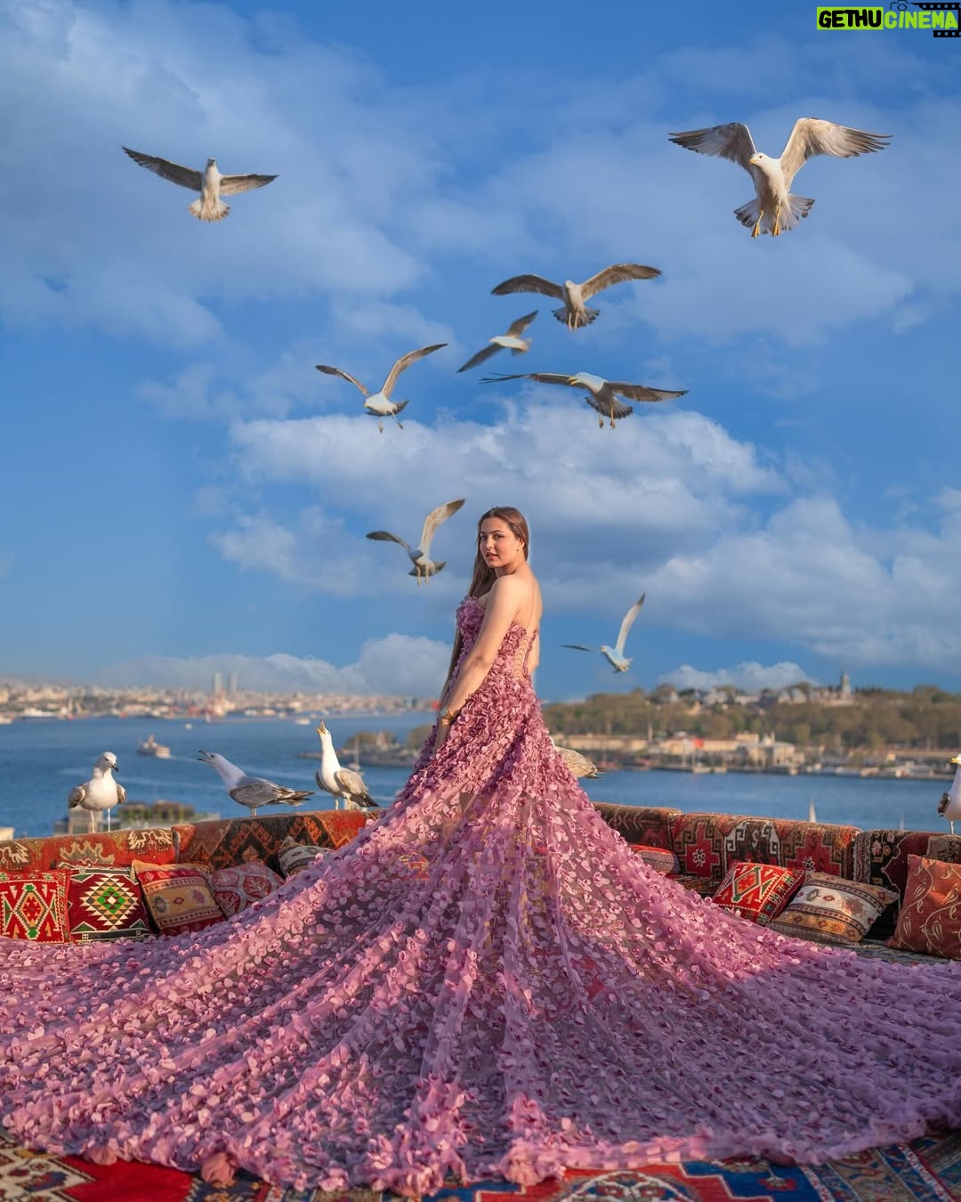 Malika Kaliraman - 146.4K Likes - Our fairytale 🧚‍♂️…..
📸 @simurg.photography