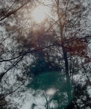 Manika Batra Instagram - The universe whispered⦠āIāll be watching you.ā āØš