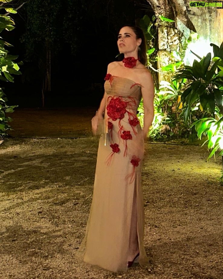 Margarita Magaña - 42.6K Likes - Perooooo que bien me sentí ayer! 
Les comparto estas fotos por que fui a una boda y amoooo las bodas!! Me encantan los festejos familiares y festejar el amor! 
Hace mucho no me arreglaba y de pronto se me olvida la Margarita guapetona que está en mi por andar corre que corre con los niños! 
Gracias por el hermoso vestido @carolinaperez_mx amo tus vestidos son un sueño!  #nochedefiesta #vestidolargo #bodatime