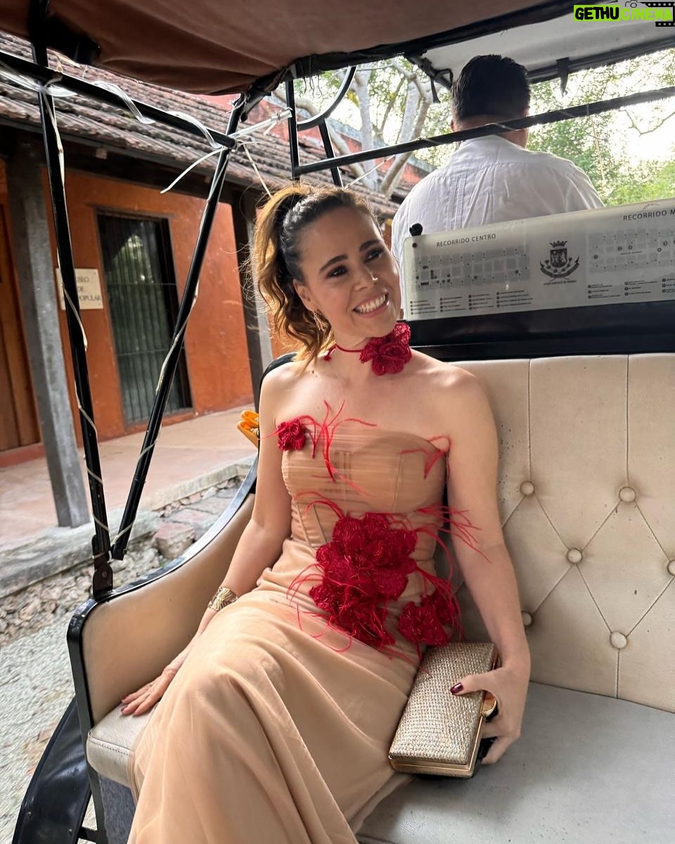 Margarita Magaña - 42.6K Likes - Perooooo que bien me sentí ayer! 
Les comparto estas fotos por que fui a una boda y amoooo las bodas!! Me encantan los festejos familiares y festejar el amor! 
Hace mucho no me arreglaba y de pronto se me olvida la Margarita guapetona que está en mi por andar corre que corre con los niños! 
Gracias por el hermoso vestido @carolinaperez_mx amo tus vestidos son un sueño!  #nochedefiesta #vestidolargo #bodatime