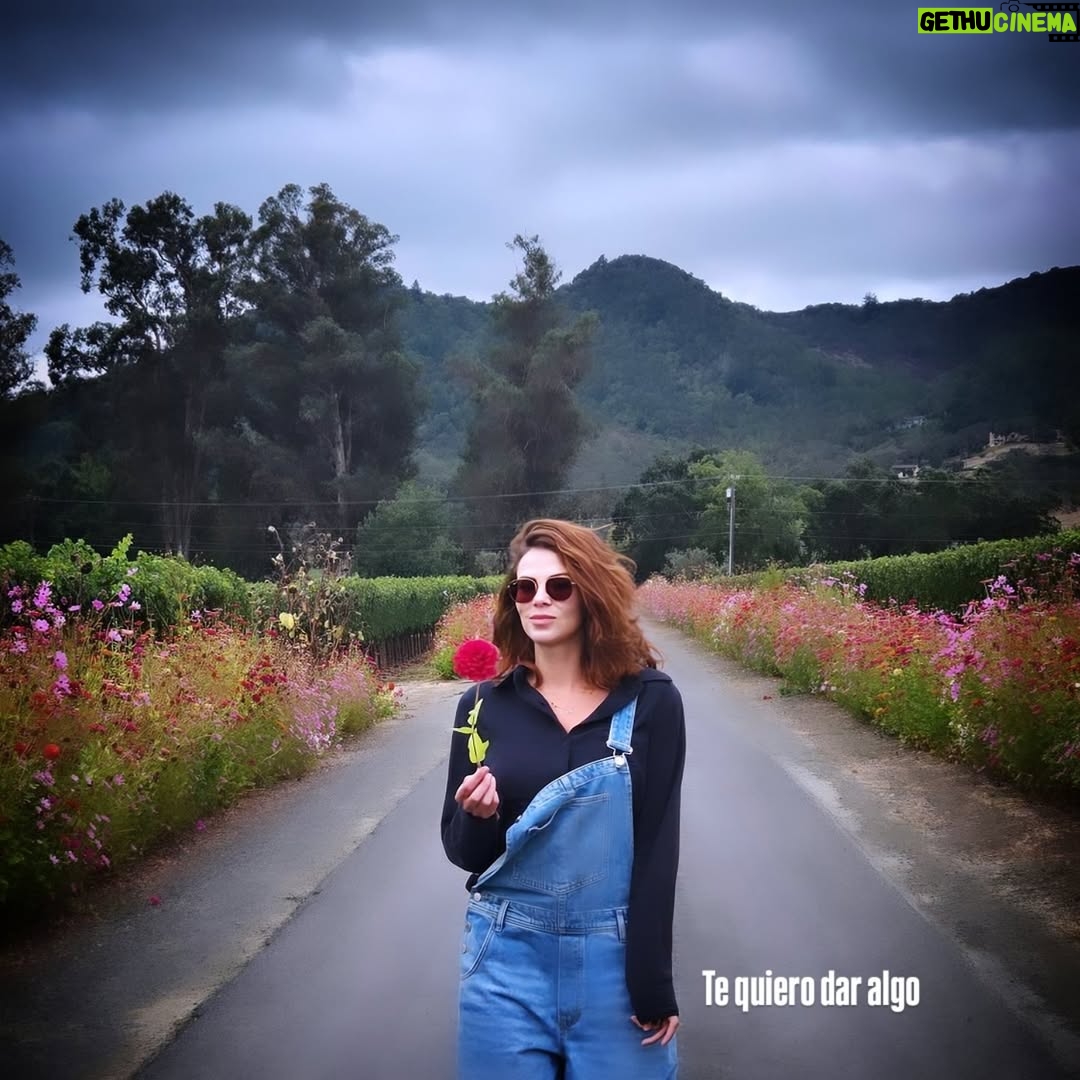 Margarita Muñoz - 9.7K Likes - 💌