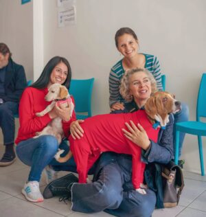 Margarita Rosa de Francisco Instagram - Esta fotografía tomada hace 3 años representa un antes y un ahora, ese día @margaritarosa.defrancisco vino a conocer a Ángel como todo un rockstar, por supuesto estaba nuestra querida amiga @andreanimalidad fue un momento inolvidable, ese día nosotros con la alegría más inmensa les mostramos el terreno, el sueño donde 1 año después teníamos construido el Centro de Bienestar animal más grande de Boyacá, gracias Ángel perrito milagroso, todo fue gracias a ti, gracias a él conocimos a la autora de la histórica Ley Ángel, gracias Ángel, mañana será el día donde se hará justicia a través de tan bella ley, mañana será cuando vamos a tener herramientas para proteger a millones de animalitos, mañana nos acompañarás desde el cielo, gracias senadora Andrea graciassssss.