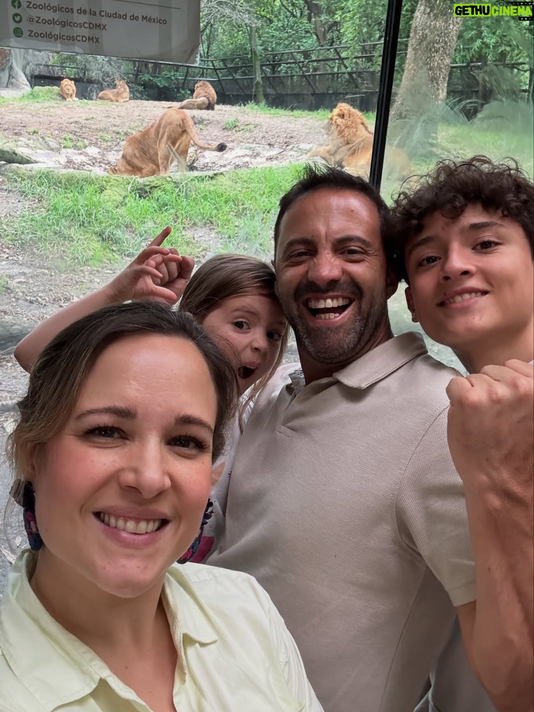 María Barreto - 5.3K Likes - Sé que he estado un poco perdida por aquí…
Mucho grabar
Mucho familia
Mucho aquí y ahora… 
como debe ser 💫✨🫶

La última foto la tomó Belén, por iniciativa propia 🥰
@martin_ruiz1001 
@carlosserranocamacho
@isabelburr 

#méxico #señorasmal #conlafamily #lafelicidad