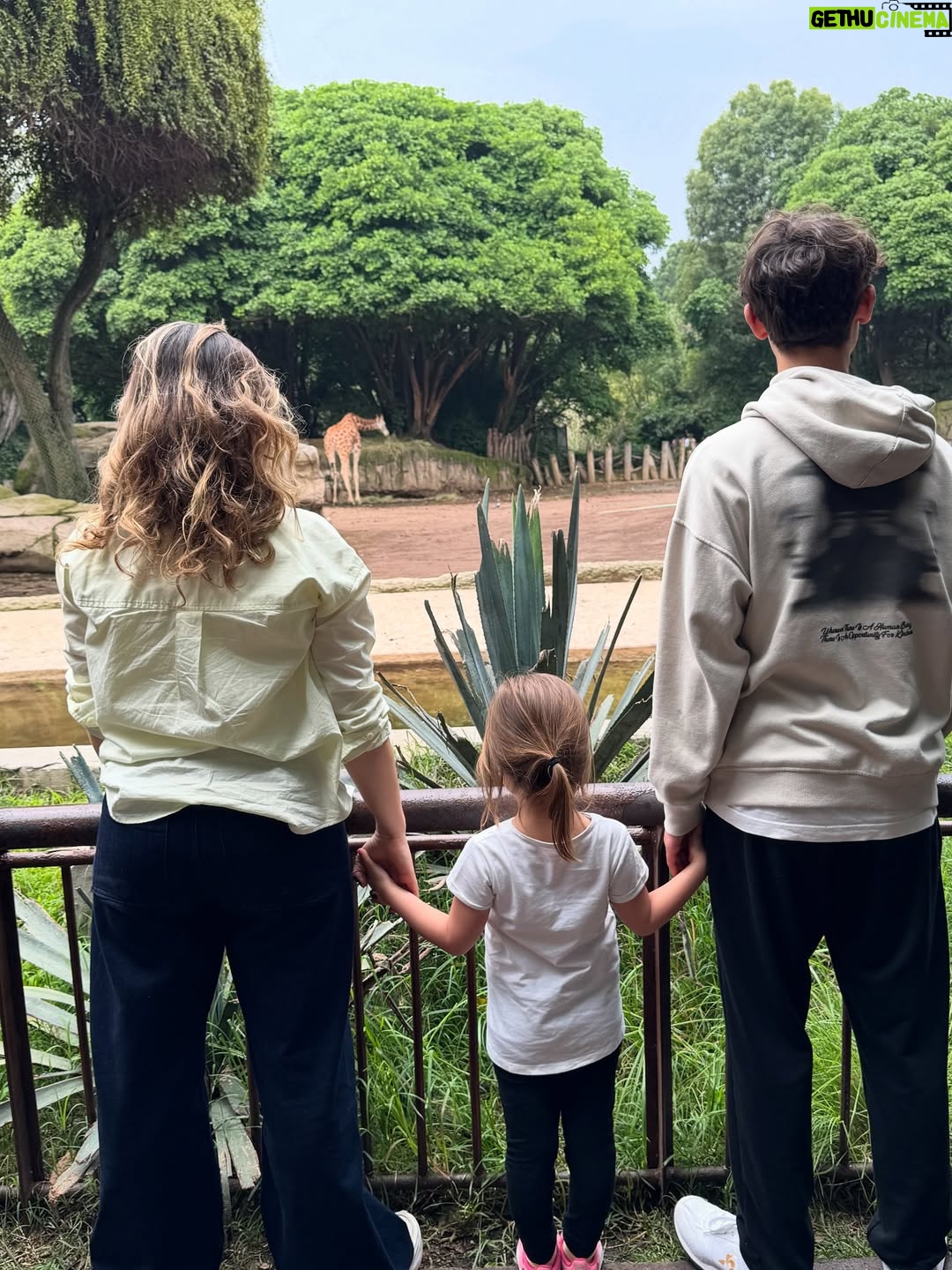 María Barreto - 5.3K Likes - Sé que he estado un poco perdida por aquí…
Mucho grabar
Mucho familia
Mucho aquí y ahora… 
como debe ser 💫✨🫶

La última foto la tomó Belén, por iniciativa propia 🥰
@martin_ruiz1001 
@carlosserranocamacho
@isabelburr 

#méxico #señorasmal #conlafamily #lafelicidad