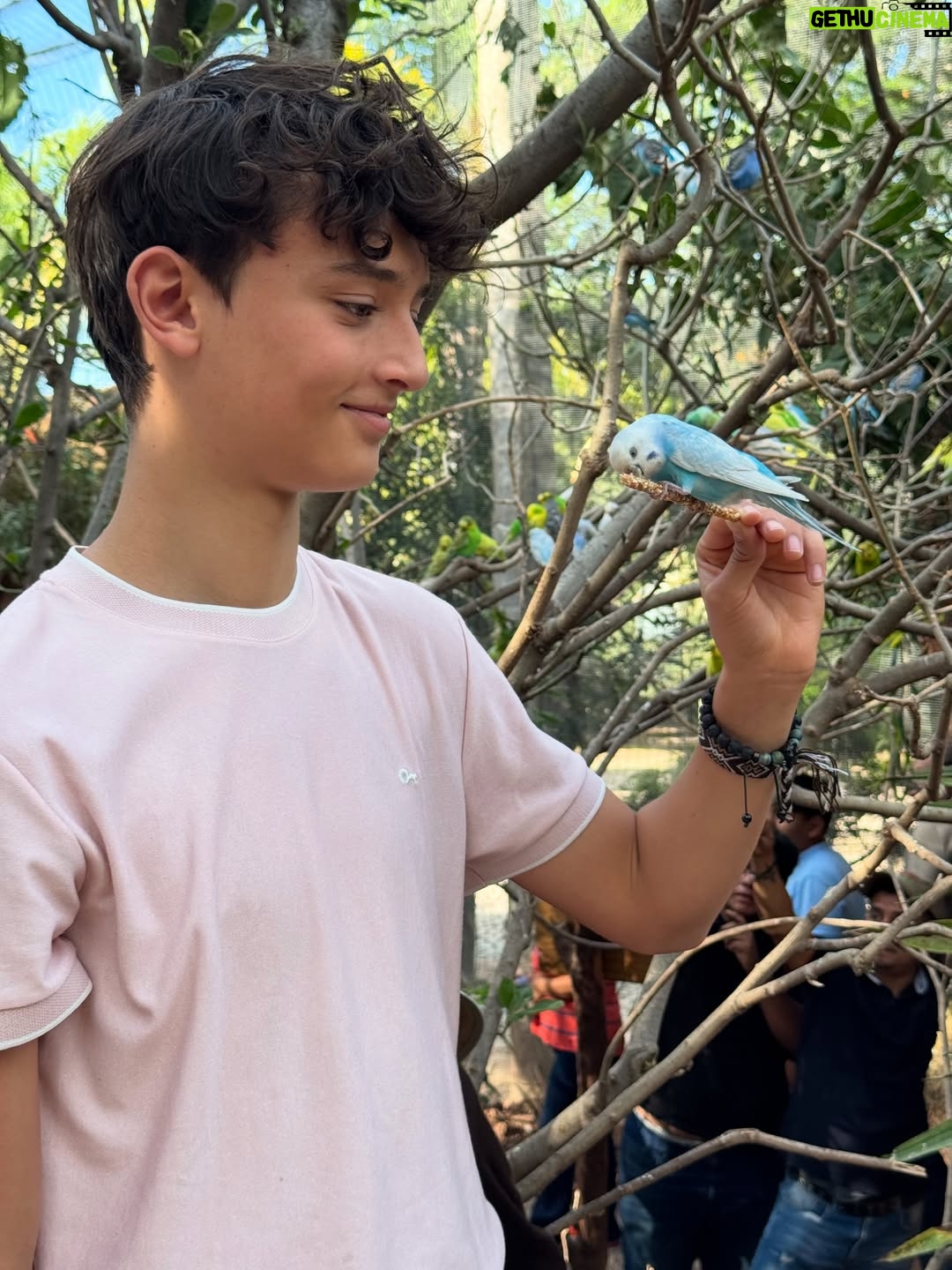María Barreto - 5.3K Likes - Sé que he estado un poco perdida por aquí…
Mucho grabar
Mucho familia
Mucho aquí y ahora… 
como debe ser 💫✨🫶

La última foto la tomó Belén, por iniciativa propia 🥰
@martin_ruiz1001 
@carlosserranocamacho
@isabelburr 

#méxico #señorasmal #conlafamily #lafelicidad