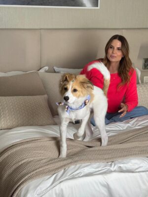 Mariana Kupfer Instagram - Carrossel de fotos com meu melhor amigo, Chico o vira-lata mais lindo desse š!