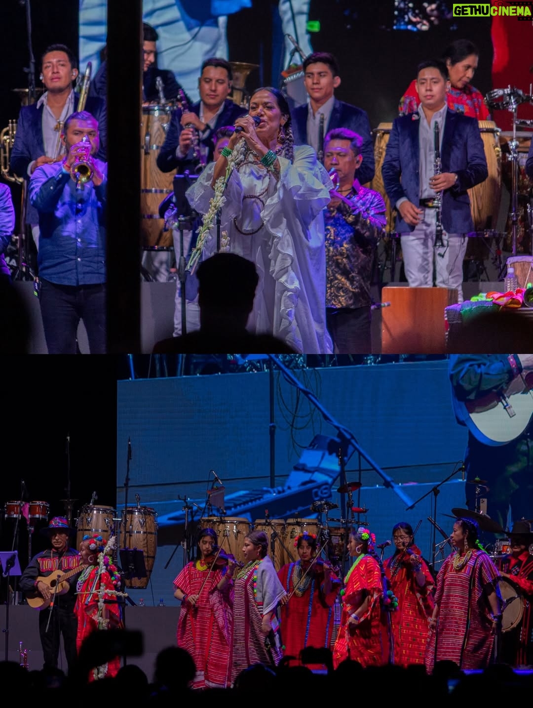 Mariana Seoane - 3.5K Likes - La noche del 16 de Julio, @liladowns ofreció un concierto en Oaxaca en el marco de las fiestas de Guelaguetza, donde miles de asistentes corearon sus éxitos ! 🌺✨

Teniendo de invitados @laseoaneoficial, @costamiaorq, @btierramojada, @aimararista entre otros.

Sin duda fue un concierto que se disfrutó ❤️