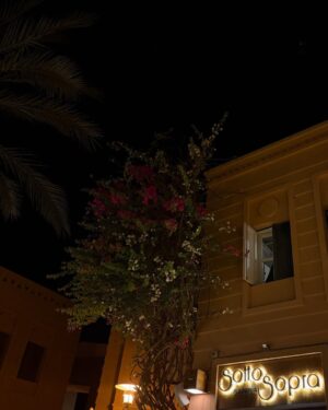Mariem El Gendy Instagram - The magic only Gouna nights can bring 🌠