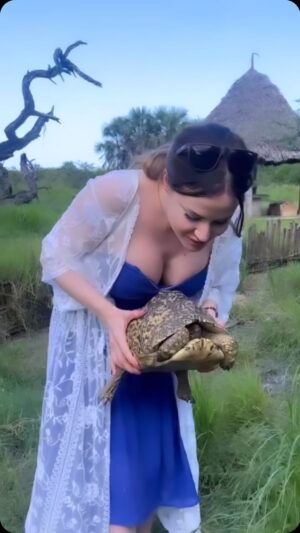 Matylda B Instagram - #heybaby 🥰✨🐢✨ so #cute 

#wildlife #ate
#africa
#eastafrica