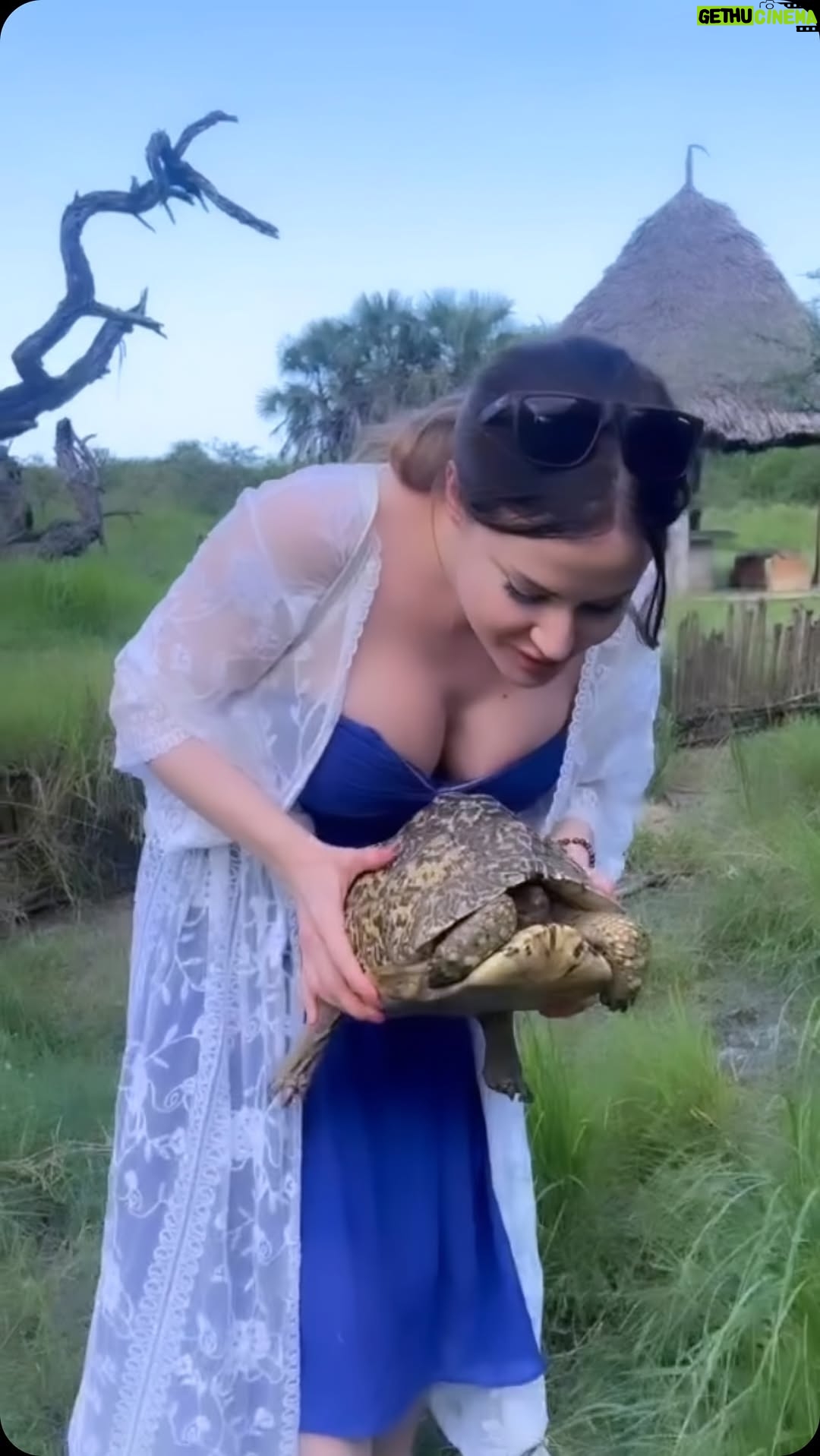 Matylda B - 4.3K Likes - #heybaby 🥰✨🐢✨ so #cute 

#wildlife #ate
#africa
#eastafrica
