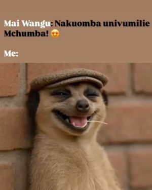 Maua Sama Instagram - Nitajie msanii ambaye tukifanya nae Goma lazima lihit…!!
✈️✈️✈️
Naskiza goma jipya kupitia @jizosound