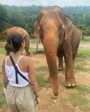 May Elghety Instagram - This year has been so cruel yet very kind. Overall, it was filled with so much adventure, inspiration and love 🤍
I wish for myself and everyone to take on this year with grace and patience despite the drama of it all 🙏🏼
Happy new year ✨🤍