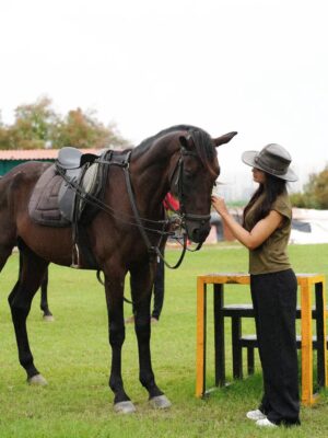Mehak Siddiqui Instagram - 🐎🤎
#mehaksquad9556