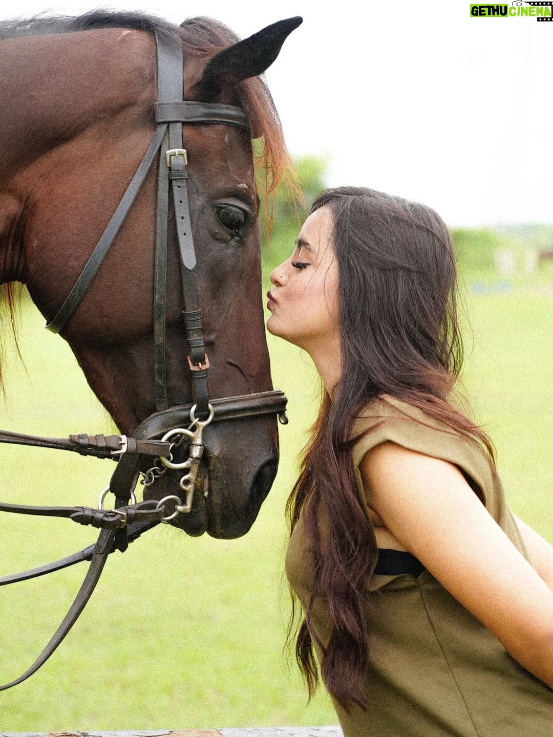 Mehak Siddiqui - 26.1K Likes - 🐎🤎

#mehaksquad9556