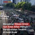 Meisya Siregar