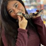 Meisya Siregar