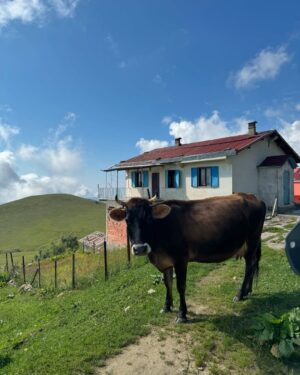Melisa Aslı Yazıcı Instagram - 61